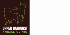 Logo of Upper Bathurst Animal Clinic in North York, Ontario